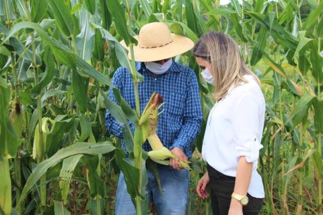 Prefeita de Ariquemes visita produtor de silagem de milho e criador de gado leiteiro - Gente de Opinião