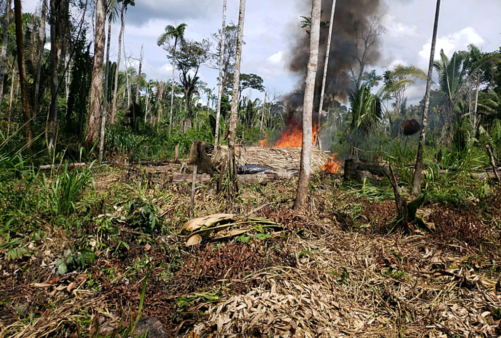  Foto: Brasil de Fato - Gente de Opinião