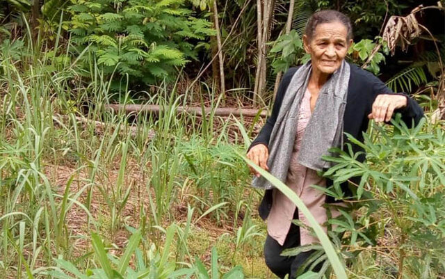 Dia Internacional da Mulher - Serva de Deus, mãe e repórter-fotográfica! - Gente de Opinião