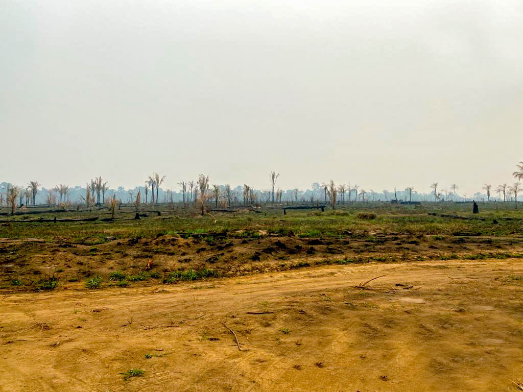 Sedam recompõe 270 alqueires devastados em Machadinho d'Oeste - Gente de Opinião