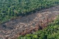 Primeira lei fundiária de Rondônia foi aprovada em 2020; estado tem quase 30% de terras não destinadas