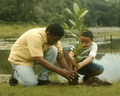 A força do Agronegócio em evidência em campanha publicitária