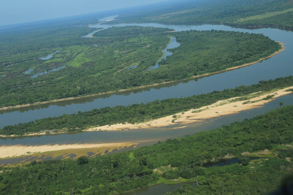 O foco da Semana do Meio Ambiente, que inicia no dia 5 de junho, será a restauração dos ecossistemas - Gente de Opinião