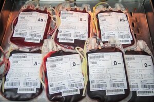 Sócios da Casa da União doam sangue a partir deste domingo - Gente de Opinião