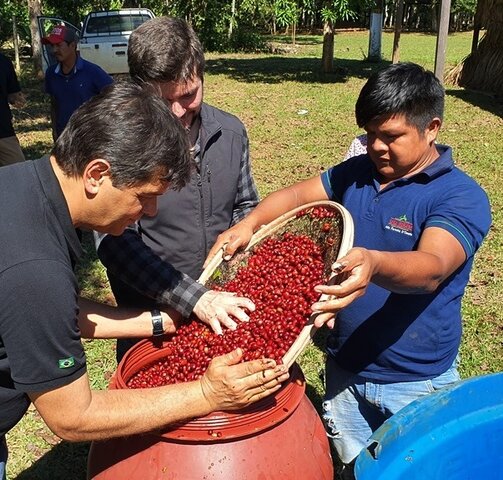 Processo de fermentação controlada do café, conhecido como “sprouting process” ou “bombona” - Gente de Opinião