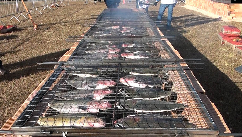 Festival do Tambaqui da Amazônia será realizado em todo o país - Gente de Opinião