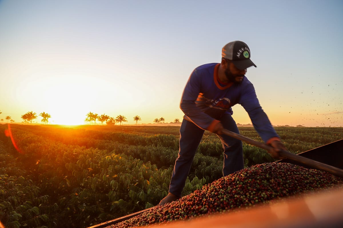 Programa Inova Agro vai integrar as iniciativas institucionais do Agronegócio - Agronegócio - Gente de Opinião