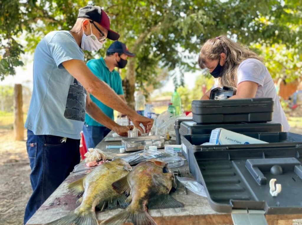 Programa atende piscicultores de Cacoal, Pimenta Bueno, Primavera de Rondônia, Espigão Do Oeste, Parecis e São Felipe D’Oeste - Gente de Opinião