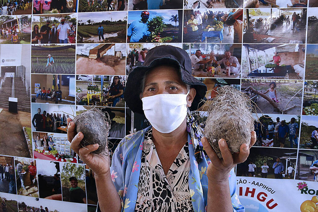 Aparecida Pereira vende cará, já colhe tomate cereja e agora plantará berinjela na Linha 2 do Setor Chacareiro de Porto Velho - Gente de Opinião