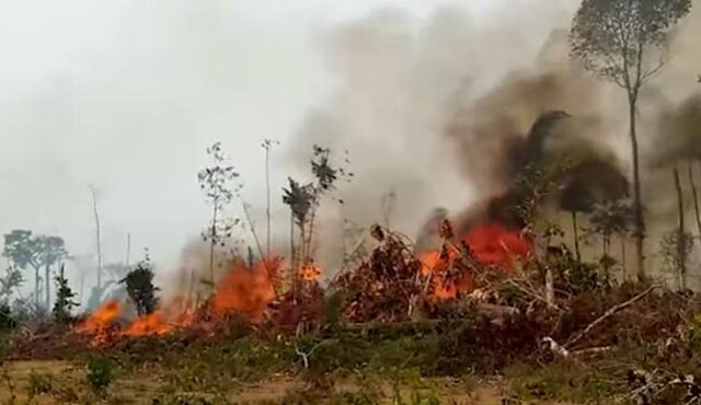 Rondônia sofre com calor, fogo e fumaça - Gente de Opinião