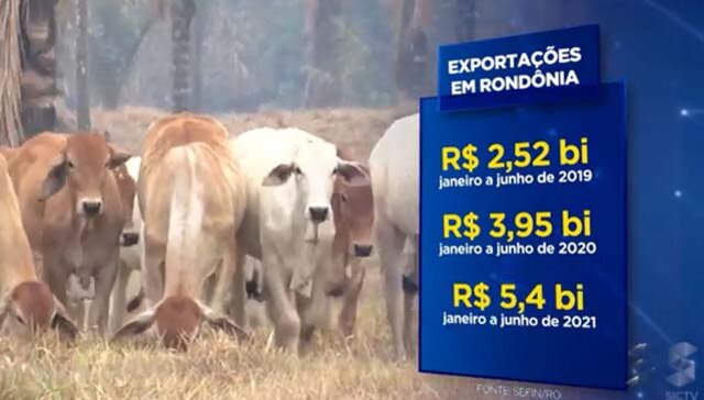 Rondônia alcança quase 6 bi em exportações no primeiro semestre do ano - Gente de Opinião