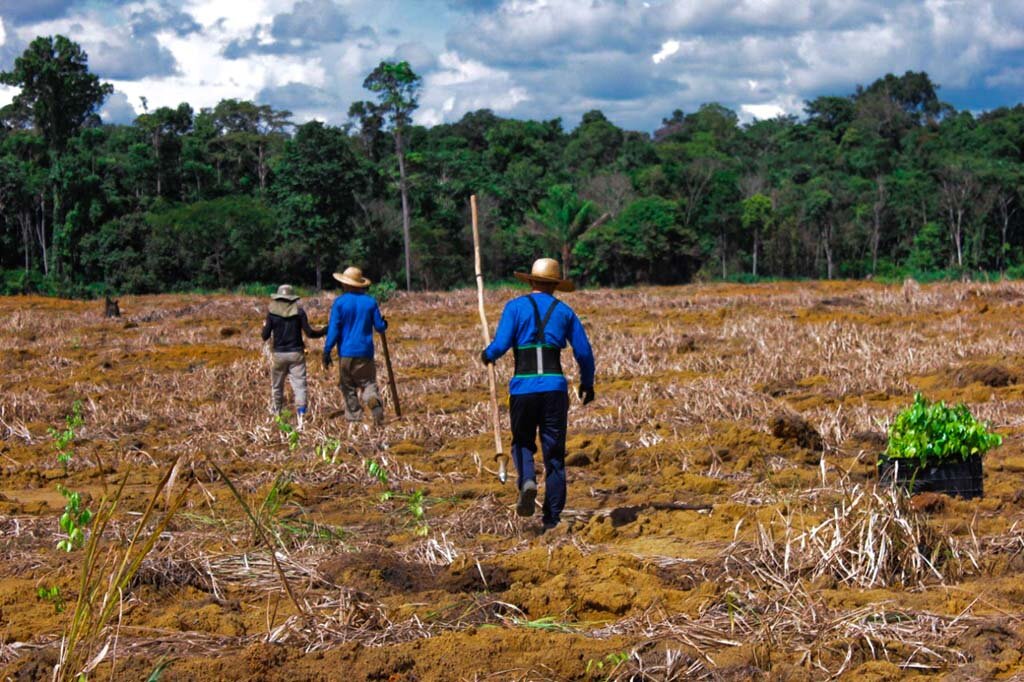 Dia da Amazônia - Qual o papel da maior floresta tropical do planeta no combate ao aquecimento global? - Gente de Opinião