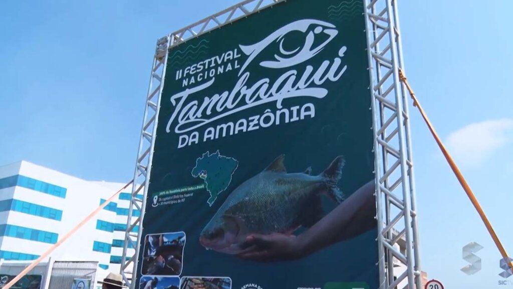 Festival Nacional do Tambaqui da Amazônia mobiliza produtores - Gente de Opinião