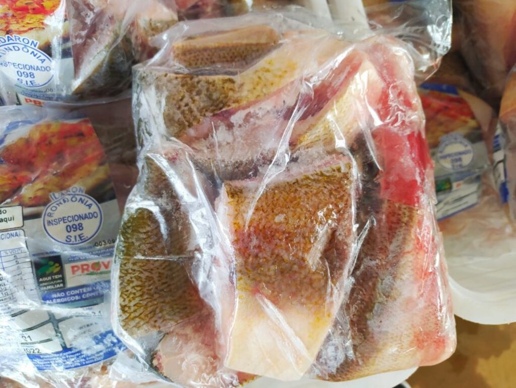 Tambaqui em postas são entregues as famílias carentes de Porto Velho - Gente de Opinião