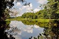 Rondônia é beneficiada com projeto rios + limpos do Ministério do Meio Ambiente; ação começa no Rio Pacaás Novos