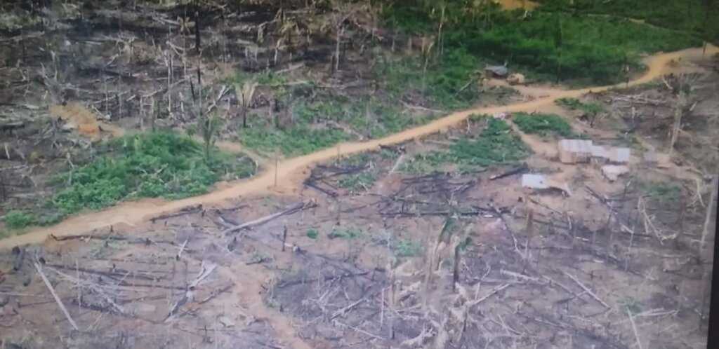 Mais de 300 famílias foram retiradas durante a operação de enfrentamento a invasões de terras na região de Ponta do Abunã - Gente de Opinião