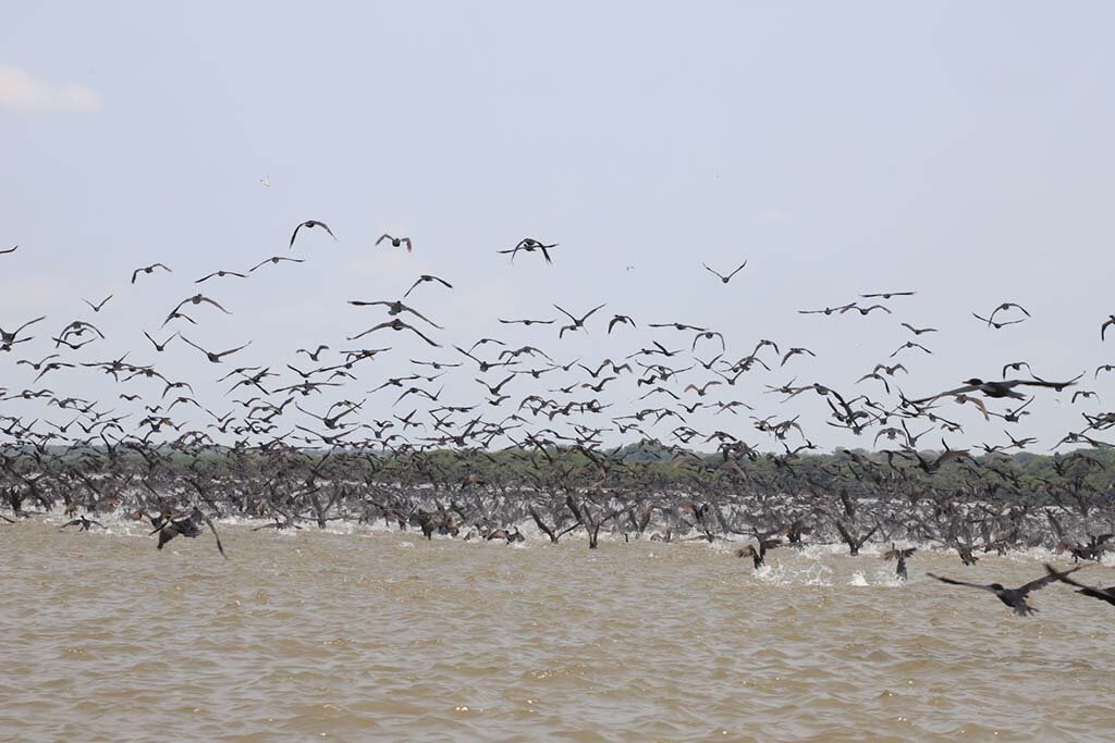 Prefeitura de Porto Velho realiza estudo para implantação de turismo de base comunitária no Lago do Cuniã - Gente de Opinião