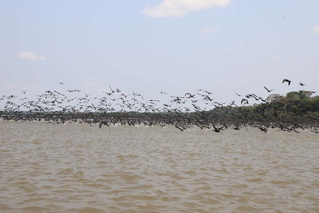 Conheça as belezas naturais do Lago do Cuniã - Gente de Opinião