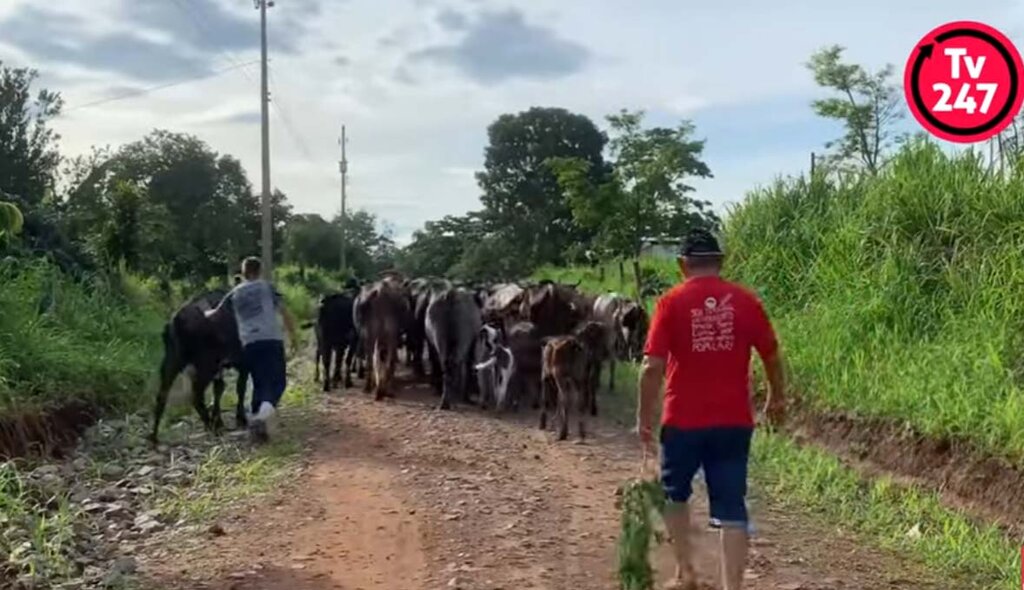 MST e reforma agrária popular: agroecologia e solidariedade - Gente de Opinião