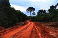 Recuperação de 14 km de estrada que liga o distrito de São Carlos à Resex Lago do Cuniã é destacada pelas comunidades
