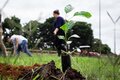 Renascimento: secretarias de Meio Ambiente e Saúde de Vilhena entregam mudas de árvores para pacientes que venceram a covid-19