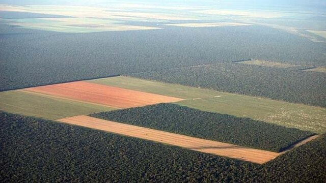 Amazônia: desmatamento e panorama geral sobre o ano para o Meio Ambiente - Gente de Opinião