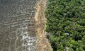 Amazônia: desmatamento e panorama geral sobre o ano para o Meio Ambiente