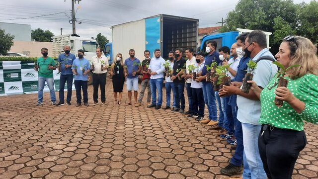 Mudas vão atender produtores rurais de Cacoal, Pimenta Bueno, Espigão do Oeste, São Felipe D’Oeste, Parecis, Ministro Andreazza e de Primavera de Rondônia - Gente de Opinião