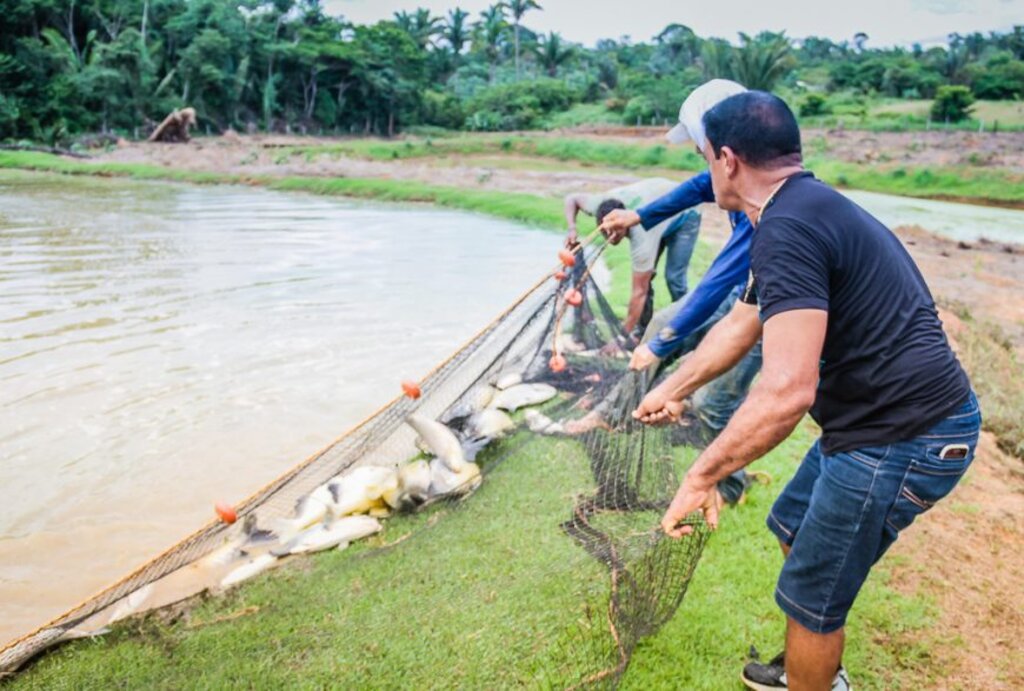 Período de defeso ocorre durante a fase de reprodução das espécies de peixes - Gente de Opinião