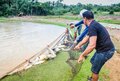 Período do defeso de Tambaqui e Pirarucu é prorrogado em Rondônia
