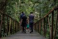 Rota Ecológica promove walking tour no Parque Natural de Porto Velho