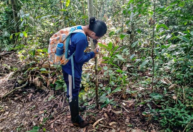 Sedam conta o trabalho de diversas ambientalistas fazem importantes ações em prol do desenvolvimento do meio ambiente - Gente de Opinião