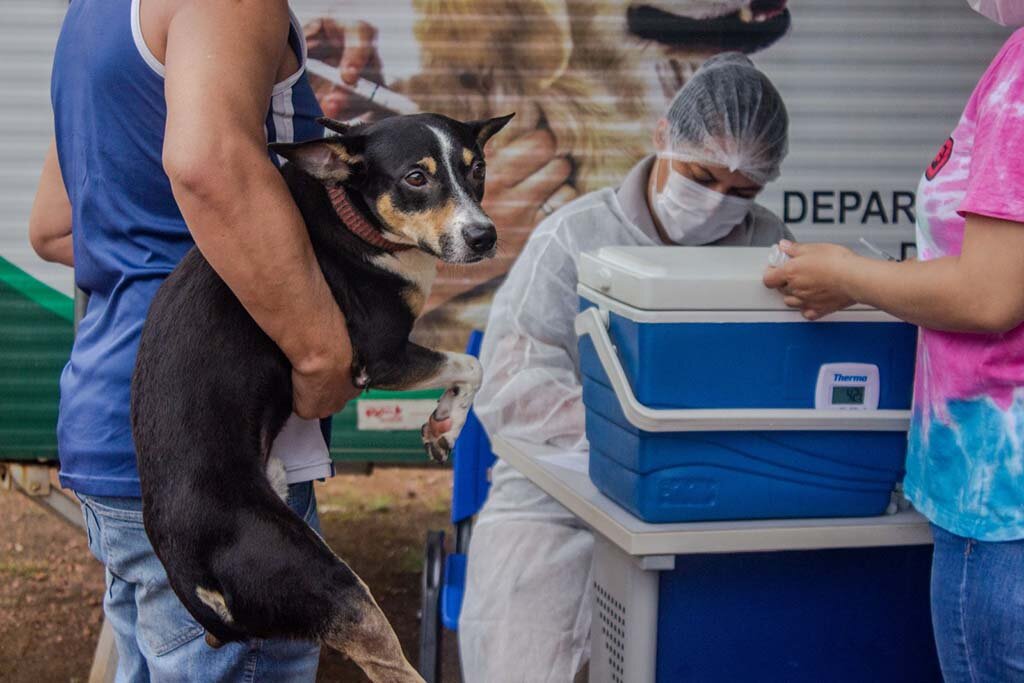 Vacinação antirrábica residencial pode ser agendada em Porto Velho - Gente de Opinião