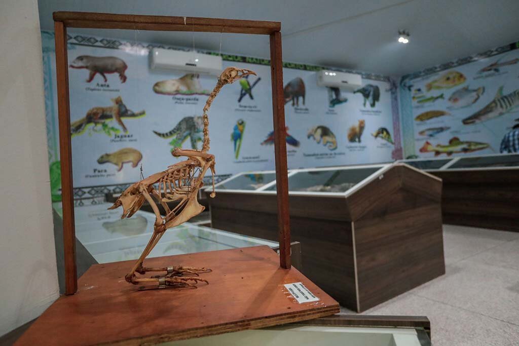 Museu do Acervo Biológico de Porto Velho é reaberto - Gente de Opinião
