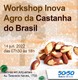 Cadeia produtiva da castanha é tema de workshop promovido pelo Sebrae e parceiros