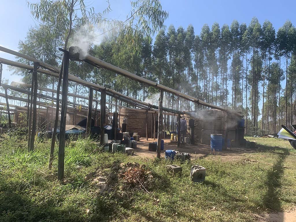 Trabalho análogo à escravidão: MPT e Auditoria Fiscal do Trabalho resgatam trabalhadores em propriedade rural no Município de Vilhena, em Rondônia - Gente de Opinião
