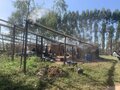 Trabalho análogo à escravidão: MPT e Auditoria Fiscal do Trabalho resgatam trabalhadores em propriedade rural no Município de Vilhena, em Rondônia