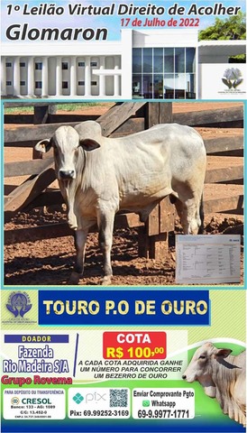 Lançado o 1⁰ Leilão Direito de Acolher - Gente de Opinião