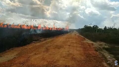 Incêndio em mata ameaça propriedades na região de Canutama
