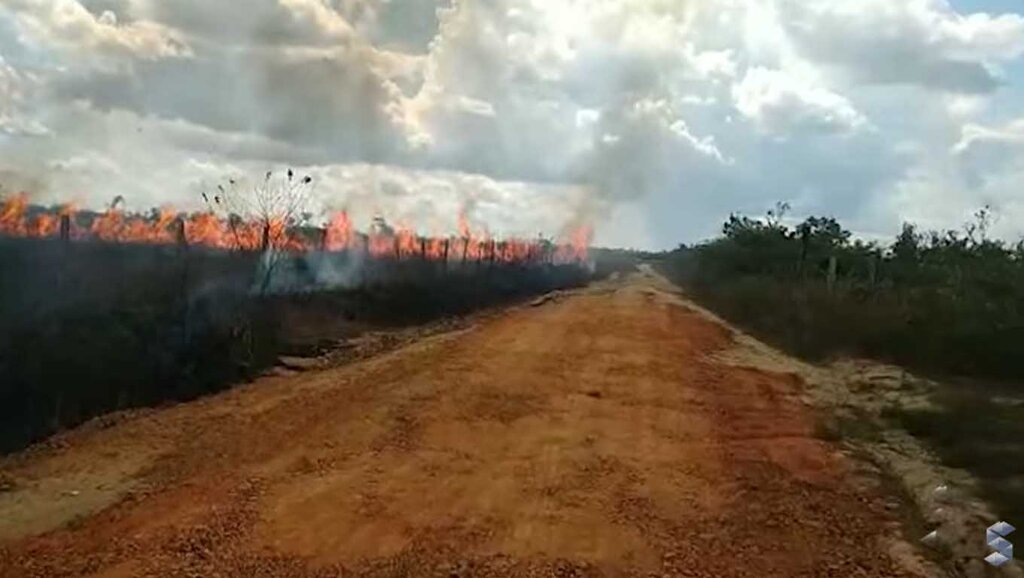 Incêndio em mata ameaça propriedades na região de Canutama - Gente de Opinião