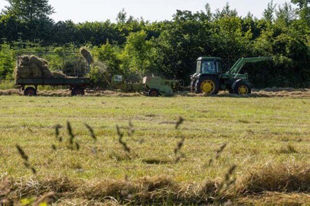 5 formas de investir no agronegócio - Gente de Opinião