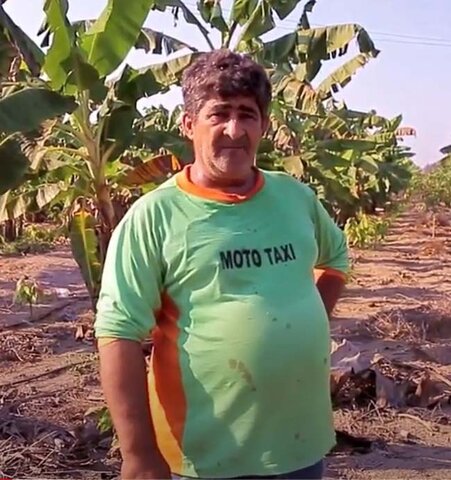 Agricultor colhe os frutos do seu reflorestamento em Sistema Agroflorestal - Gente de Opinião