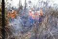 Corpo de Bombeiros divulga resultados parciais da Operação Verde Rondônia e reforça prevenção contra incêndios florestais
