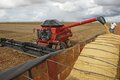 Técnicos da Conab vão a campo para o 12° Levantamento da Safra de Grãos