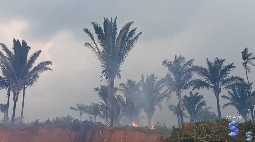 Sedam registra redução de 37,51%, no número de focos de calor em Rondônia - Gente de Opinião