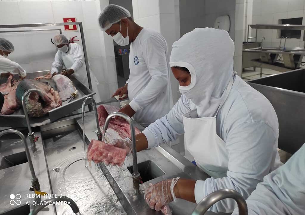 Kits e cartão de alimentação escolar movimentaram a economia de Rondônia durante a pandemia da covid-19 na gestão do coronel Marcos Rocha  - Gente de Opinião