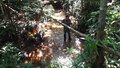 Trilha da Caverna é reativada no Parque Natural de Porto Velho