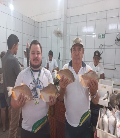 : Espécie de pacu em exposição no Mercado Municipal de Humaitá-AM. - Gente de Opinião