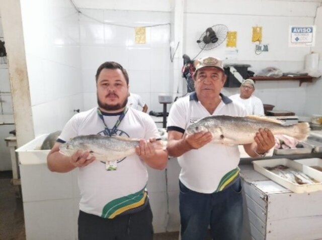 Antônio de Almeida e Bruno Botão expõem exemplares da espécie pescada no boxe no Mercado Municipal. - Gente de Opinião