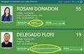 Só Rosani Donadon tem candidatura cem por cento confirmada pela Justiça Eleitoral
